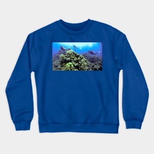 THE DIVE GUIDE Crewneck Sweatshirt